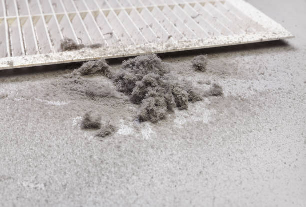 Best Commercial Air Duct Cleaning  in University Park, MD