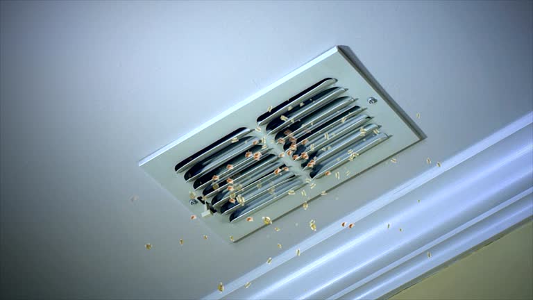 Best Affordable HVAC Duct Cleaning  in University Park, MD