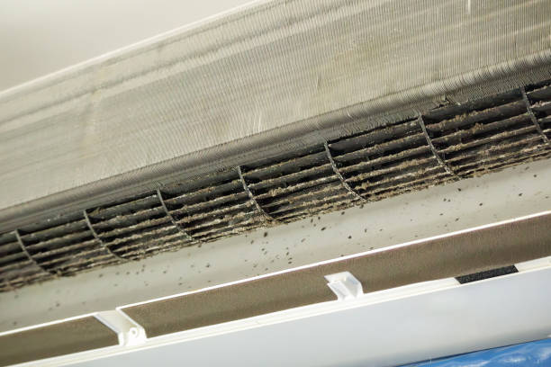 Best Ductwork Cleaning Services  in University Park, MD