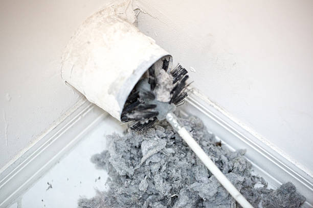 Best Local Air Duct Cleaning Services  in University Park, MD
